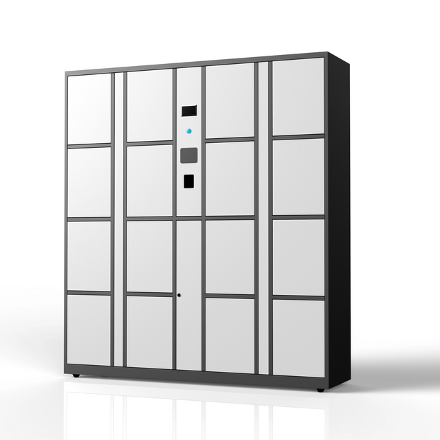 Smart Storge Locker